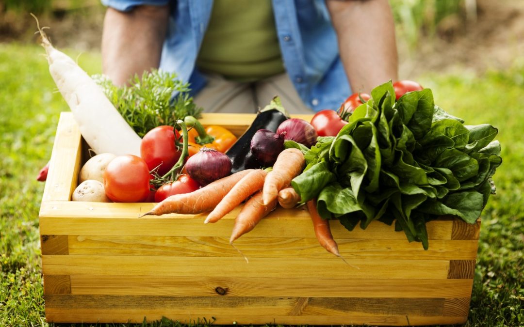 Les p’tits jardiniers au périscolaire Chanceladais