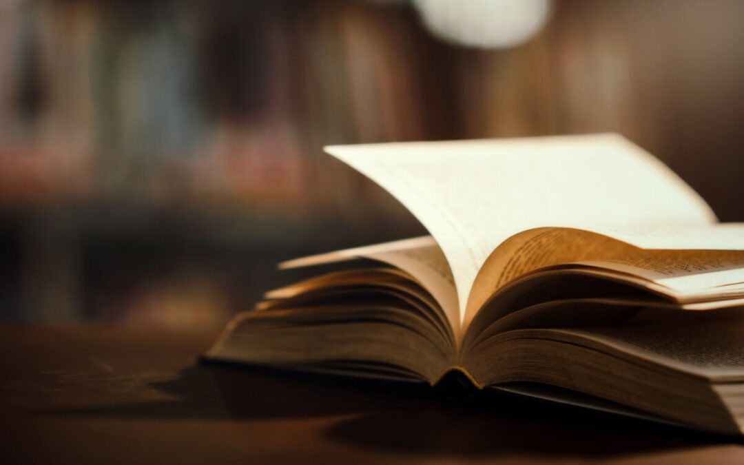ETRANGES LECTURES 2024-2025