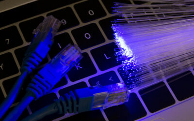 LA FIBRE A CHANCELADE