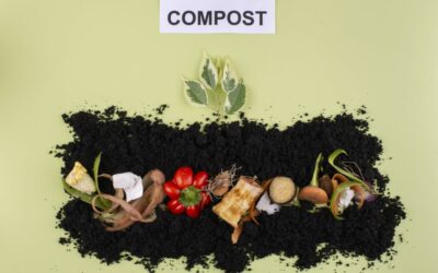 Le compost à l’école élémentaire