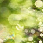 Le bonheur, c’est la confiance