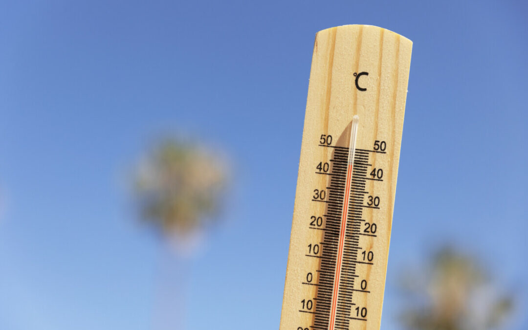 FACE À LA CANICULE – DES RÉPONSES CONCRÈTES