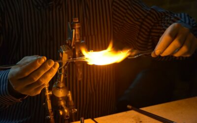 Evelyne HAGARD : Il était une flamme