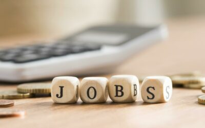 RECRUTEMENT – AGENTS RECENSEURS
