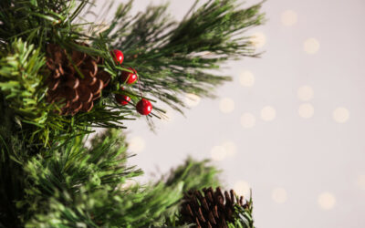 Aux Andrivaux, on a installé le sapin