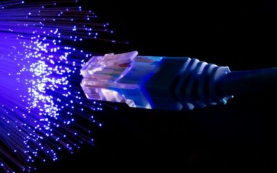 Au sujet de la fibre  Des questions et des réponses