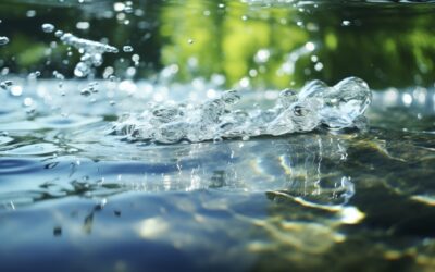 Histoires d’eaux – Une invitation trop peu suivie
