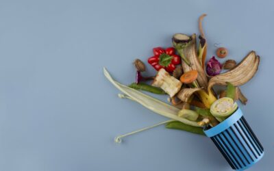 SMD 3 – la boîte à gifles
