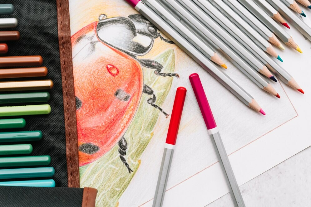 Bibliothèque – Les artistes en herbe récompensés