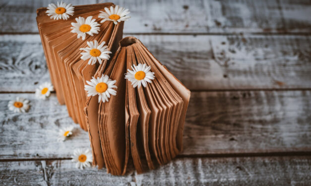 Informations de la Bibliothèque – Actualités de la semaine 15 – Du 07 au 11 Avril 2026