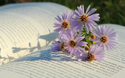 Informations de la Bibliothèque – Actualités de la semaine 24 – du 10 au 14 juin 2025
