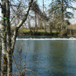 Une passerelle qui fait parler