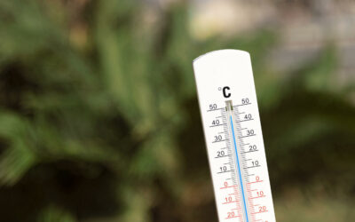 Canicule : Prévenir et rassurer