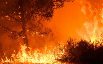 Risque incendie élevé : le département placé en vigilance “risque sévère”
