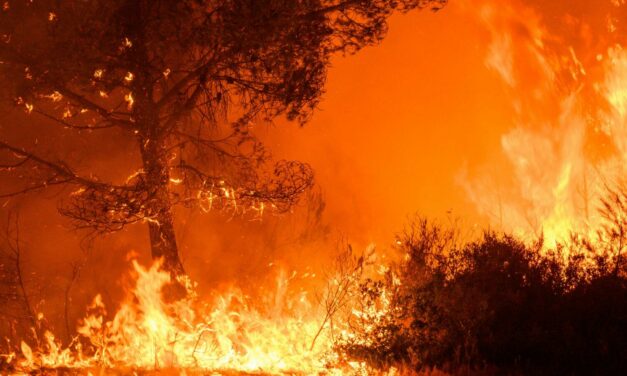 Risque incendie élevé : le département placé en vigilance “risque sévère”
